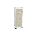 TL 6D Carts(1).webp